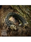 Браслет із паракорду "Череп" вик. 1 (бронза)